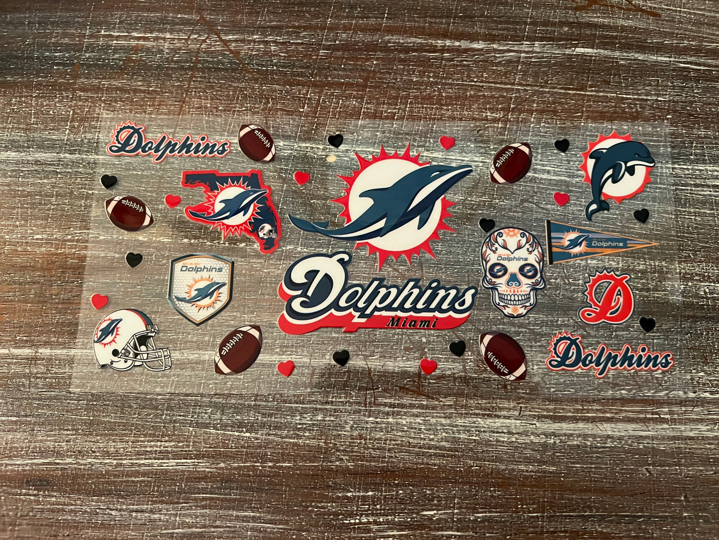 Miami dolphins